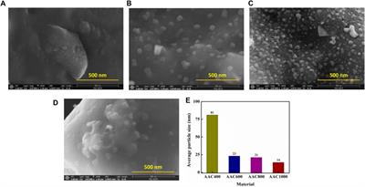 Acacia auriculiformis–Derived Bimodal Porous Nanocarbons via Self-Activation for High-Performance Supercapacitors